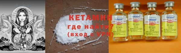 шишки Горняк