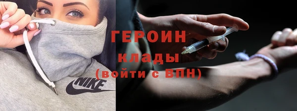 дживик Ельня