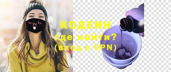 стаф Вязьма