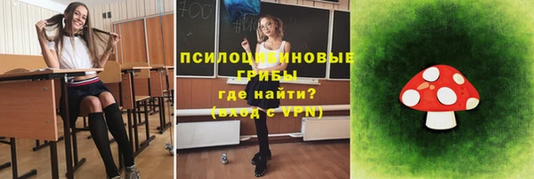 марки nbome Гусь-Хрустальный