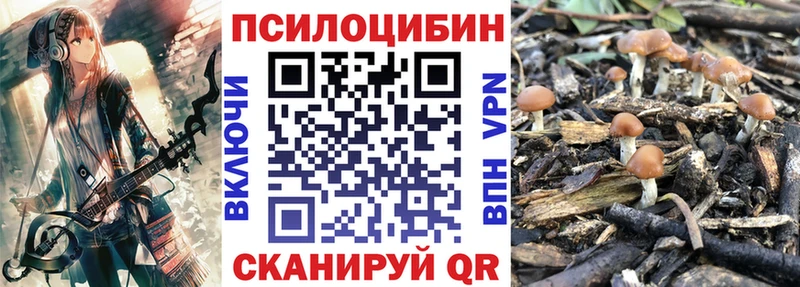 Галлюциногенные грибы GOLDEN TEACHER  MEGA ССЫЛКА  Гуково 